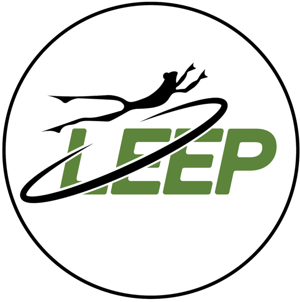 YSpacE LEEP logo